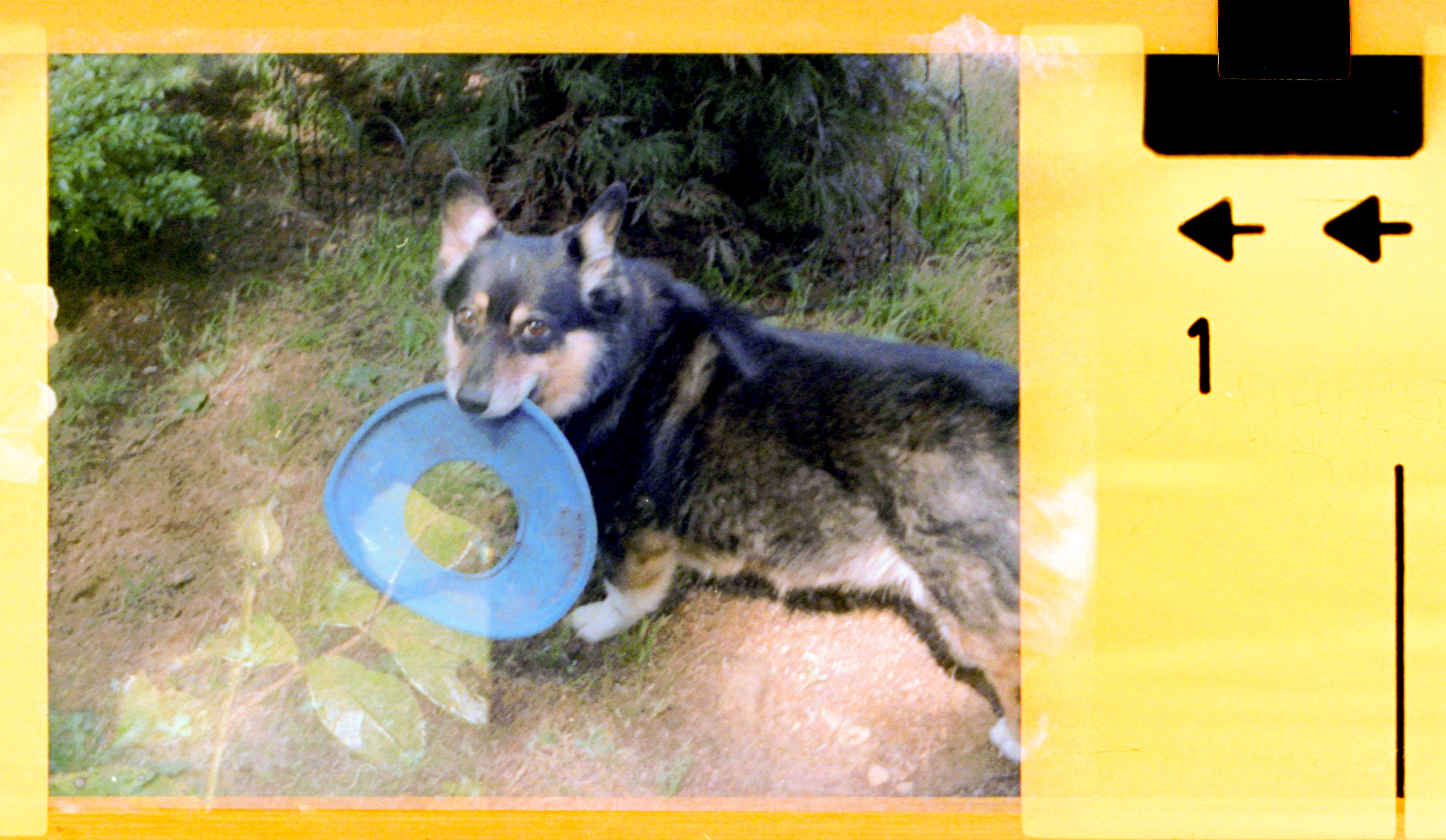 Minolta 100 – Roll 2