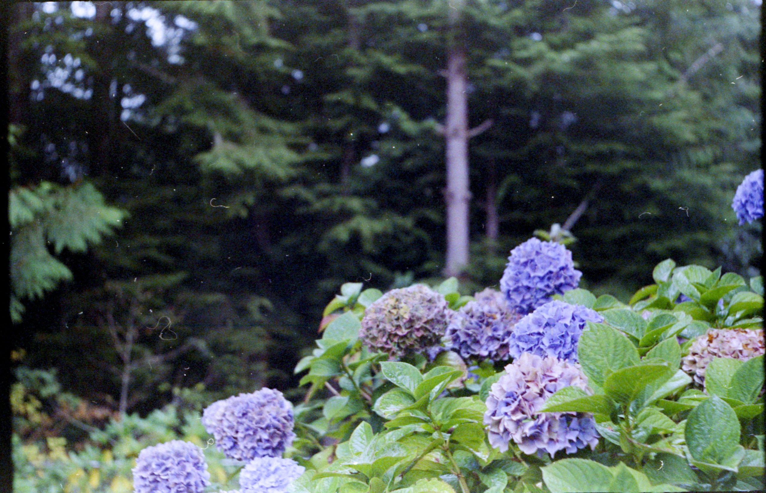 Kodak Retina – Roll 1