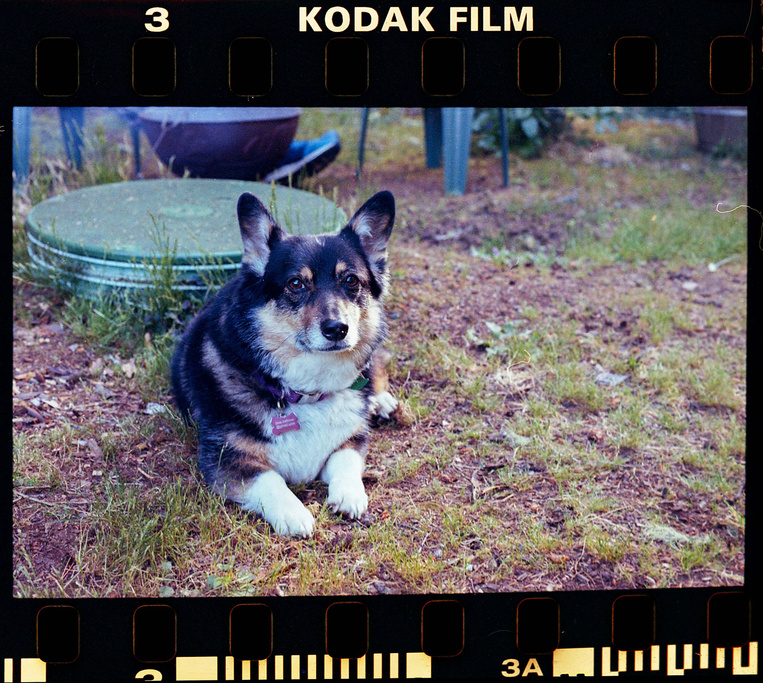 Nikkormat FTn – Roll 4