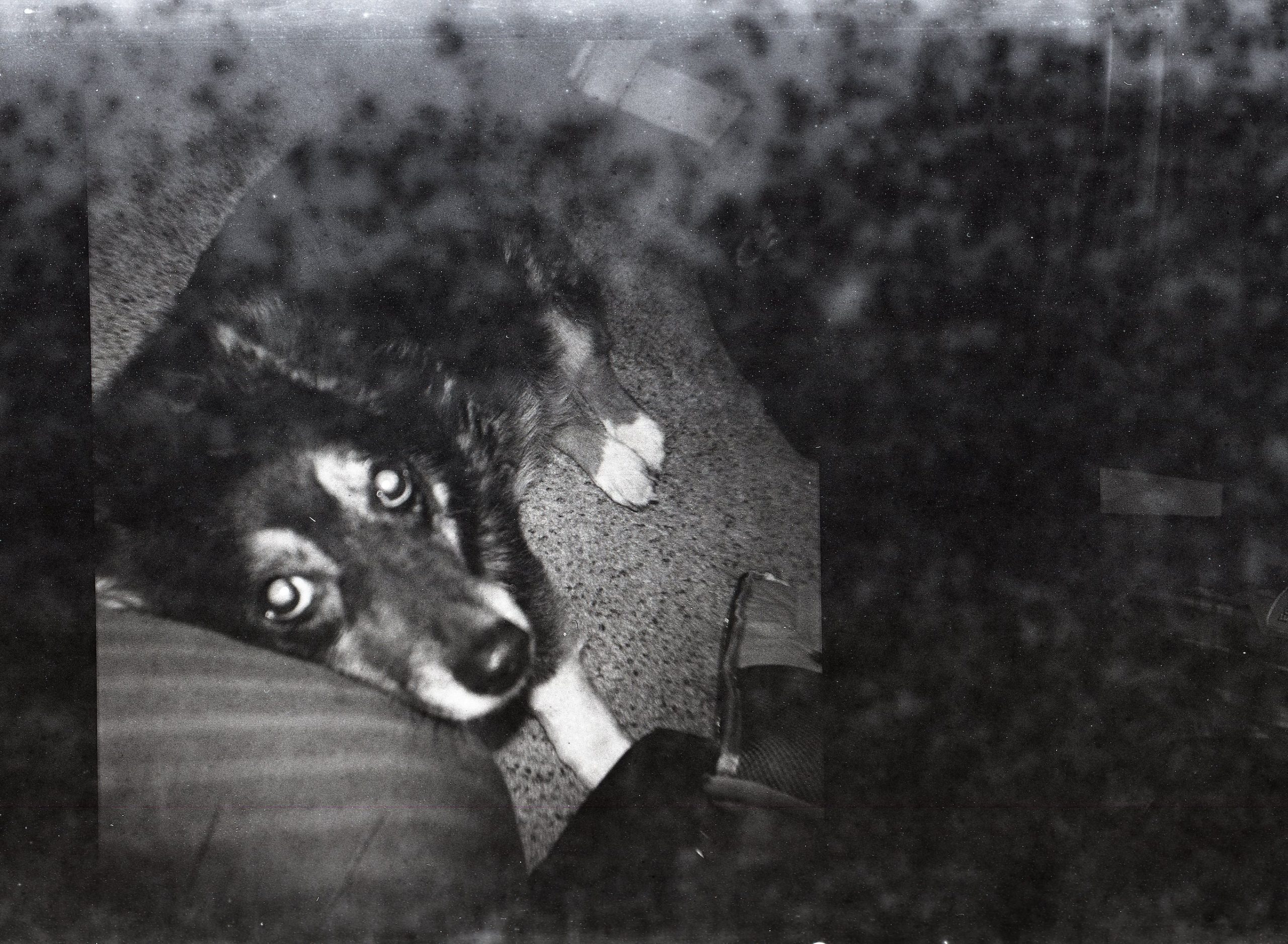 Kodak Vigilant – Roll 3