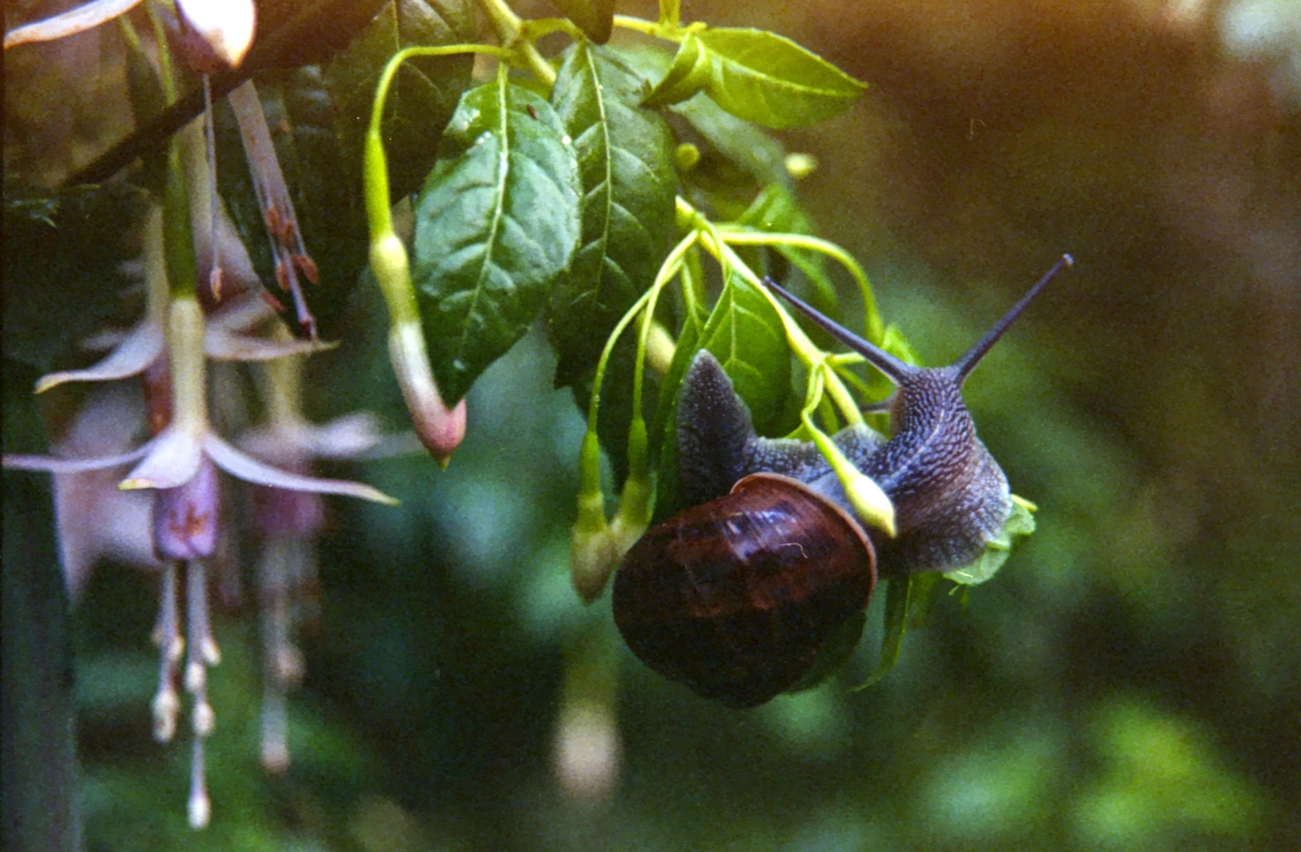 Nikkormat FTn – Roll 5